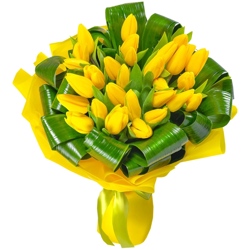 Букет из 25 тюльпанов с зеленью