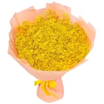 Букет из 25 желтых гипсофил