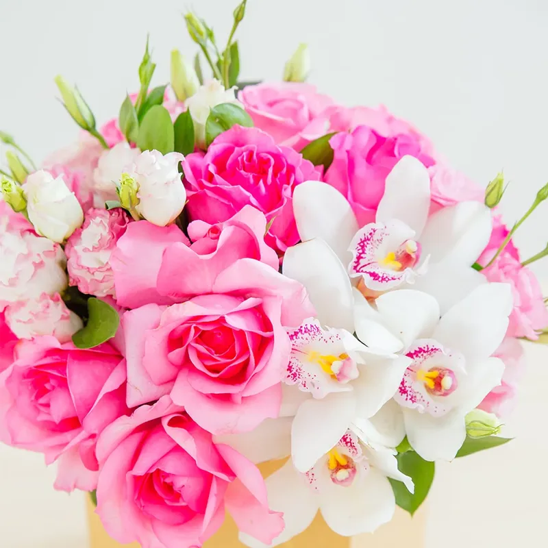 Цветы в коробке Звездный иней